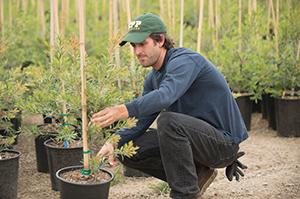 Sam Broderick shows his love for arboriculture while pruning trees in Miramar, Calif.