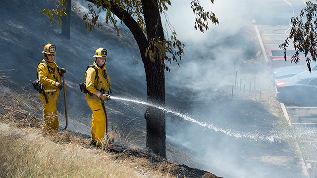 Two firefighters extinguishing a brush fire