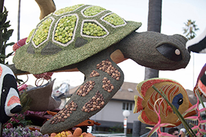 Turtle and fish on Rose Float