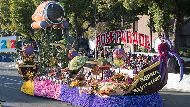Rose Float Aquatic Aspirations