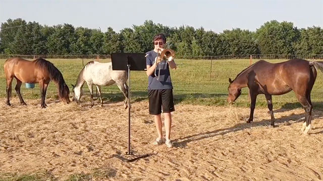 C.J. Woods plays trombone in a field with his horses.
