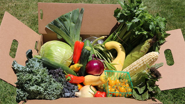 Various types of produce in a box