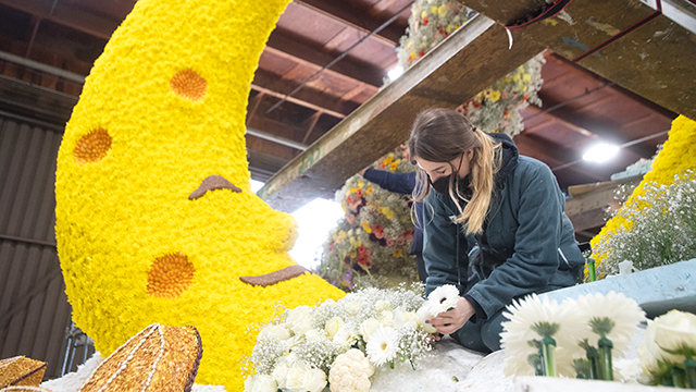 Ava Hanson adds flowers to the 2022 Cal Poly Universities' Rose Float, Stargrazers, on Dec. 30, 2021.