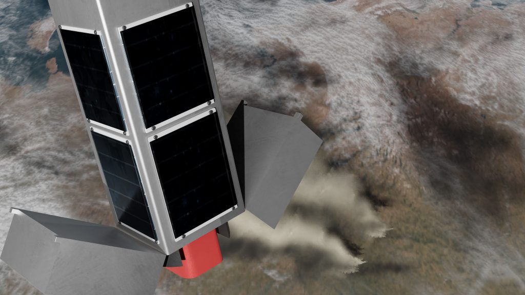 Bronco Ember looking at a fire