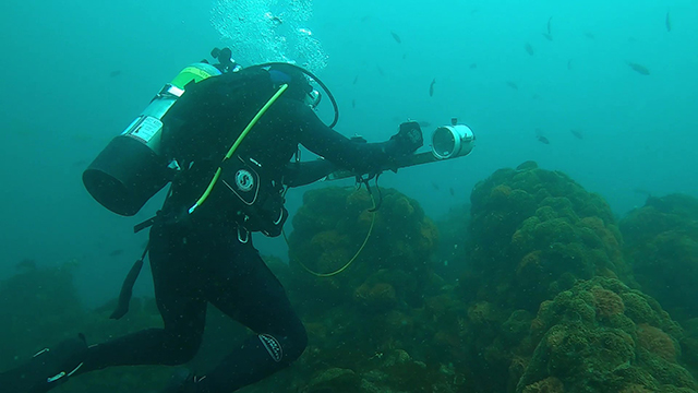 James Sturges doing a video survey of reefs