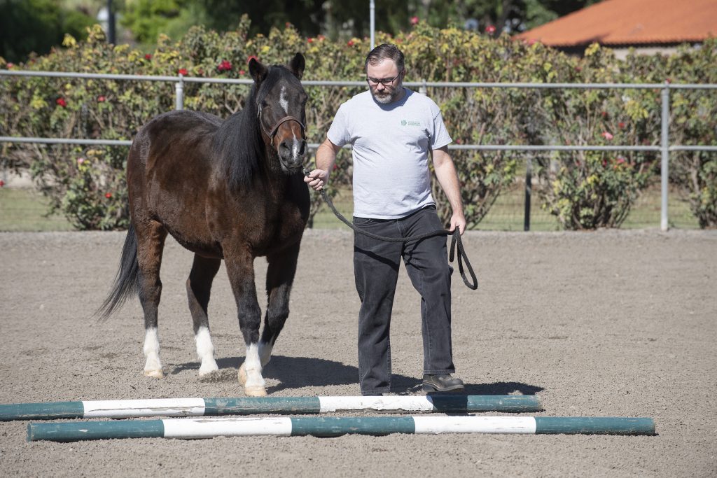 Tim Regan works with Max.