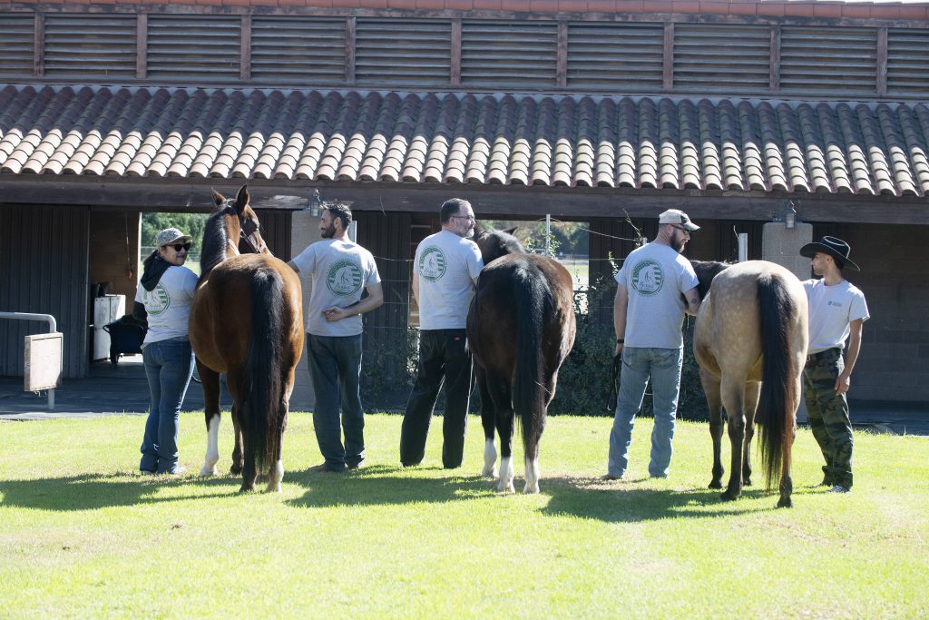 Veterans as part of Horses for Heroes program at the WK Kellogg Arabian Horse Center 