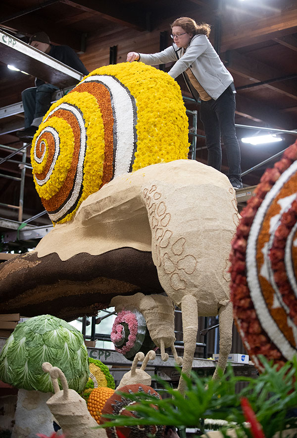 Bryn Lewis decorates the Cal Poly Universities Rose Float, Road to Reclamation