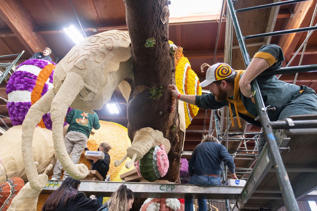 Collin Marsia decorates the Rose Float