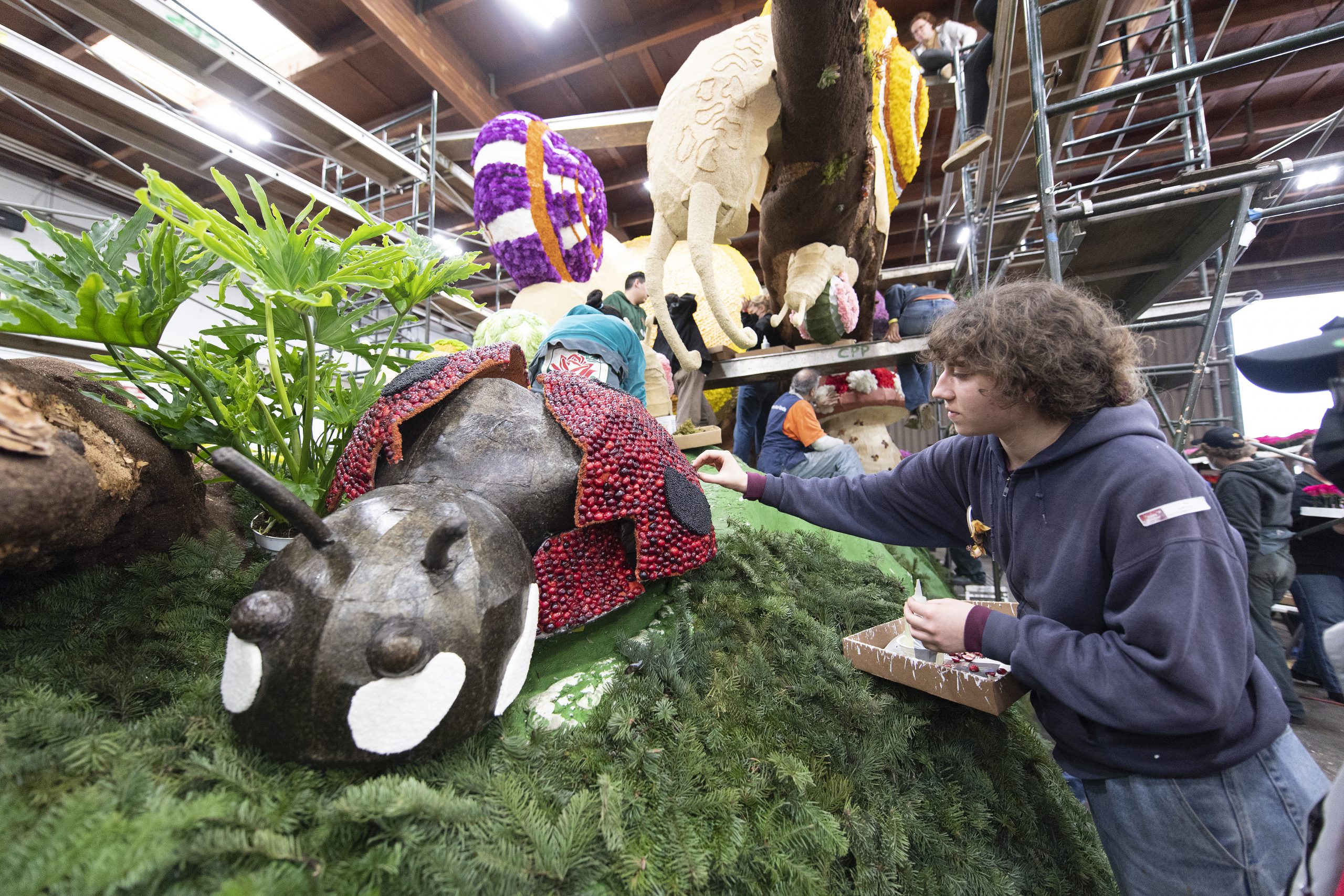 Cal Poly Rose Float Will Lead 2023 Parade on Jan. 2 - PolyCentric