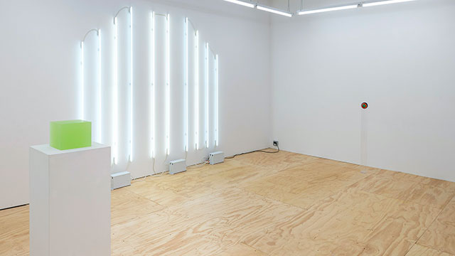 Maya Stovall Exhibit