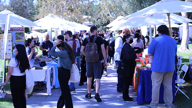 Students attend a career fair.
