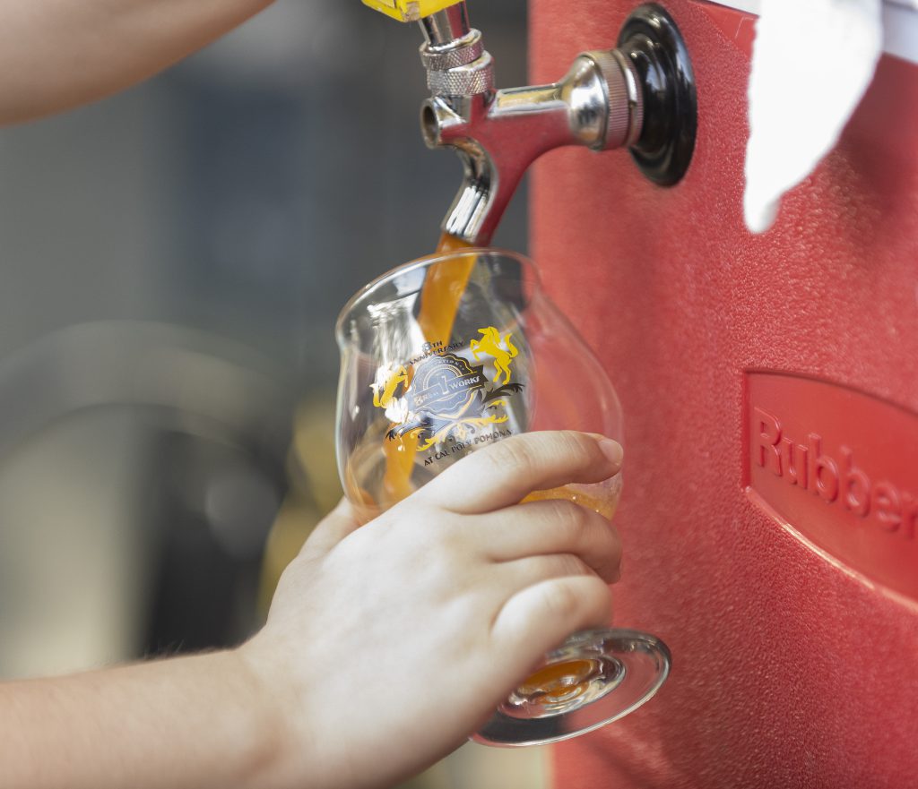 Beer being poured into a glass. 
