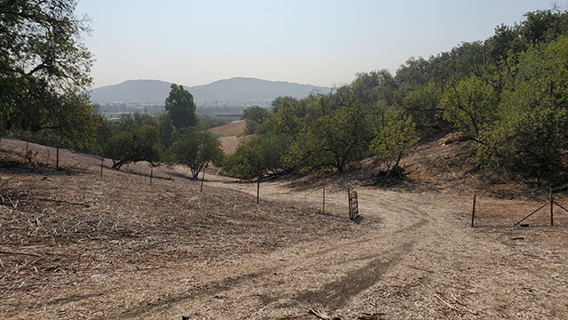 Fire Road at Cal Poly Pomona