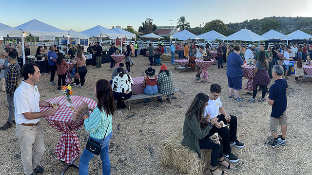2022 Pumpkin Fest Preview Night