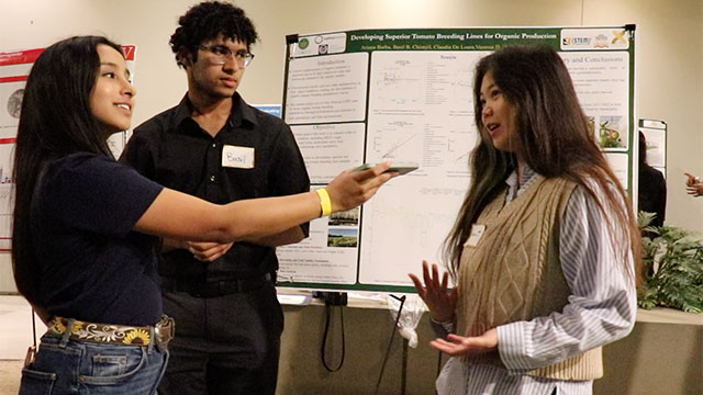 Student researchers being interviewed by Office of Undergraduate Research staff.