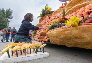 A volunteer places final roses on the float before judging.