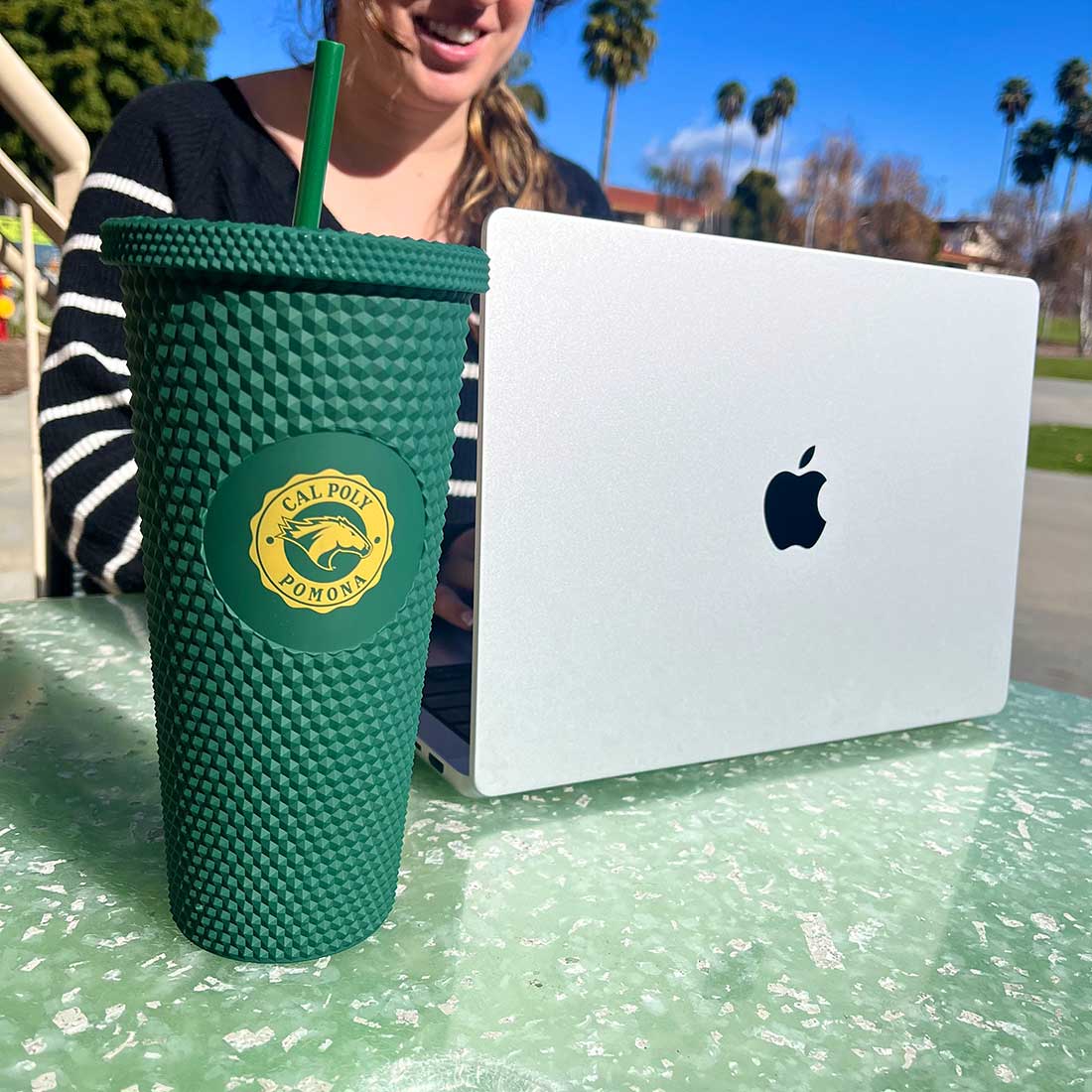 Cal Poly Pomona Students Save $2 2M on Textbooks With New Instant