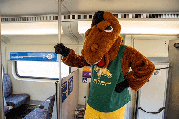 Billy Bronco rides inside a Metrolink train.
