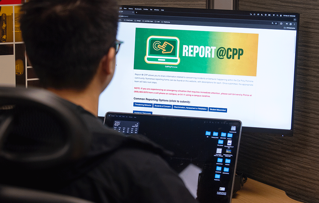 A male student visits the Report CPP website.