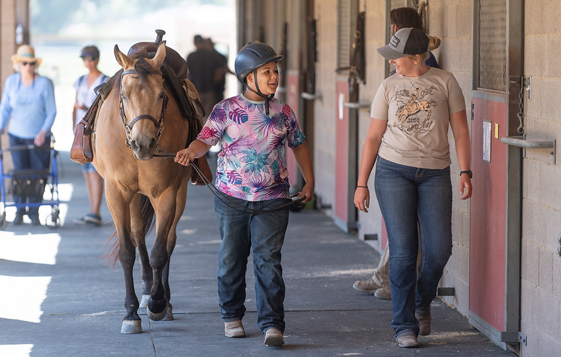 Elementary students visit the Kellogg Arabian Horse Center.