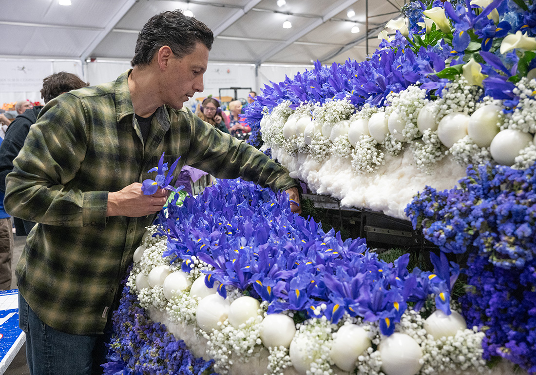 A male volunteer uses Iris flowers to decorate the Cal Poly Universities Rose Float