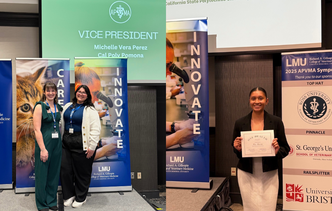 Left: Michelle Vera, Right: Iris Garcia