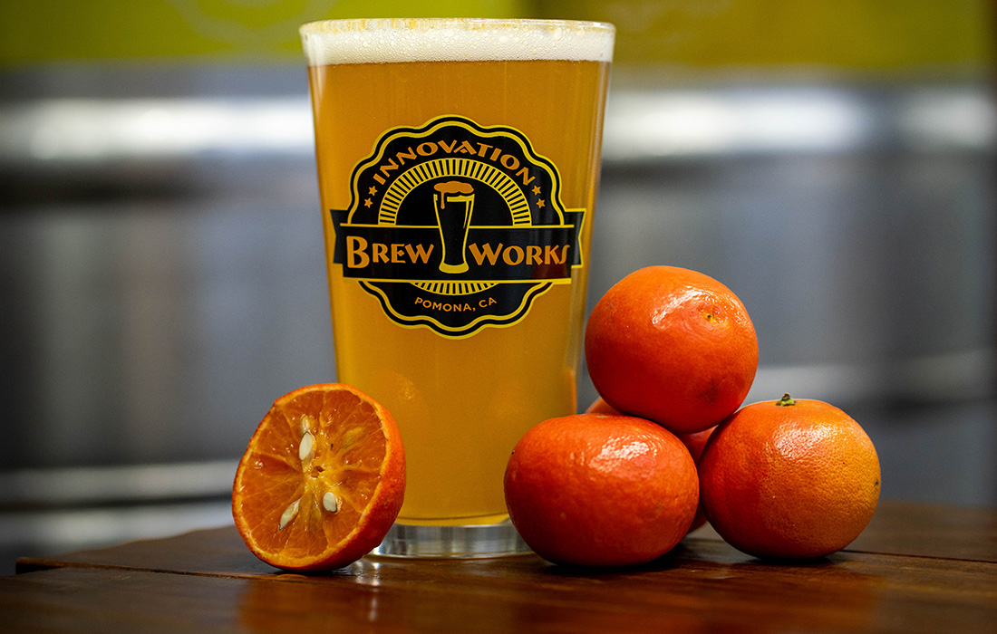 Citrus IPA