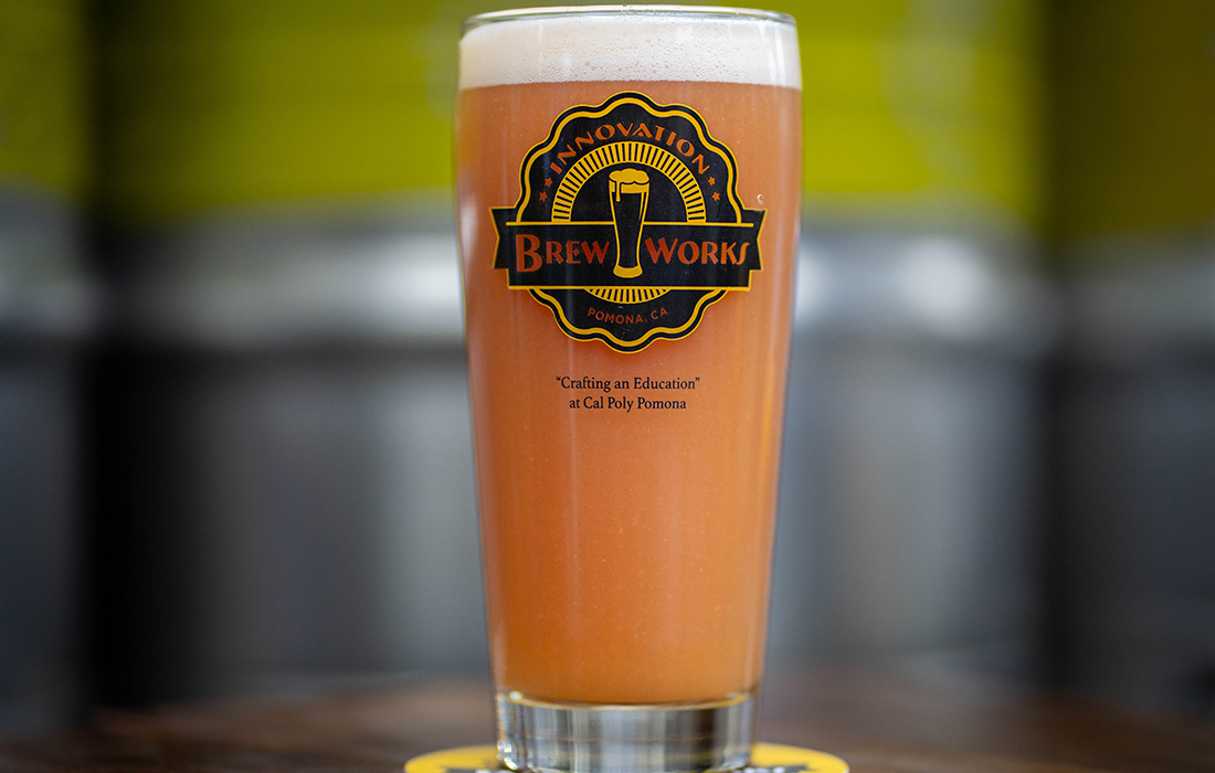 Guava Creme Beer