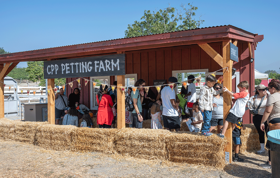 Students wait in line at the petting zoo during pumpkin festival field trips 