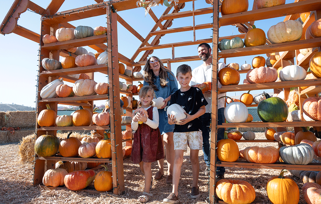 A family of 4 laughs while walking through the pumpkin wall