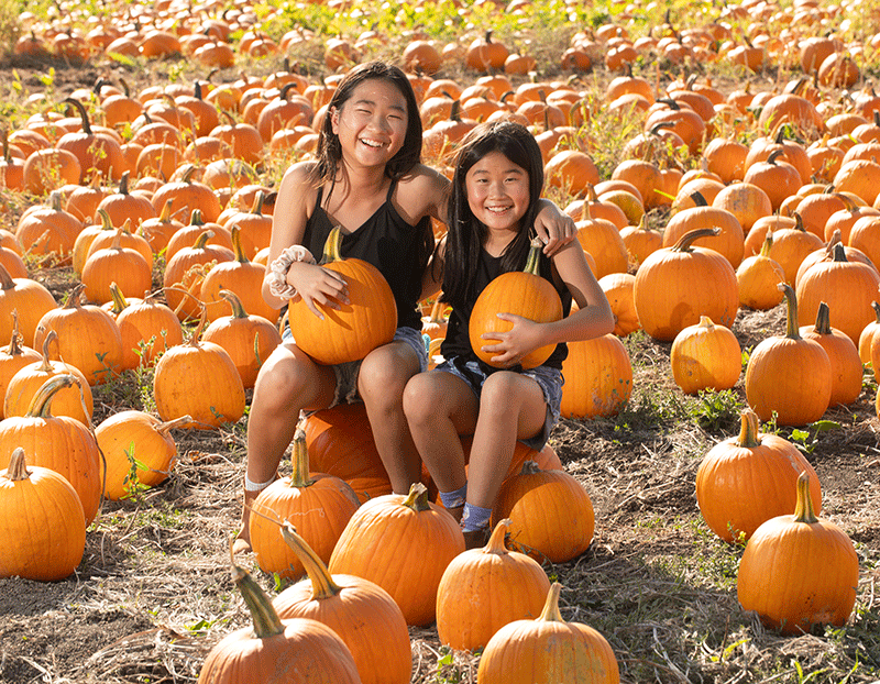 Two sisters pose while sitting on pumpkins