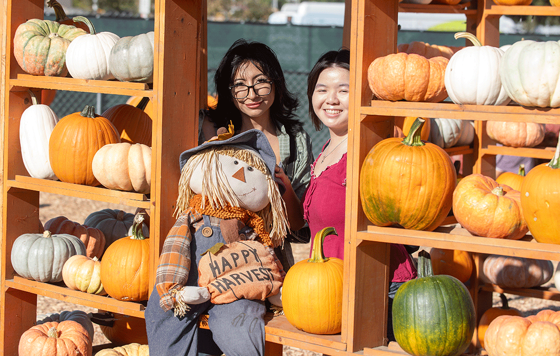 Two Cal Poly Pomona student peek through the pumpkin wall during the pumpkin festival