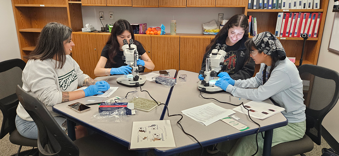 Womxn in the Wild students identifying ticks collected from a group outing