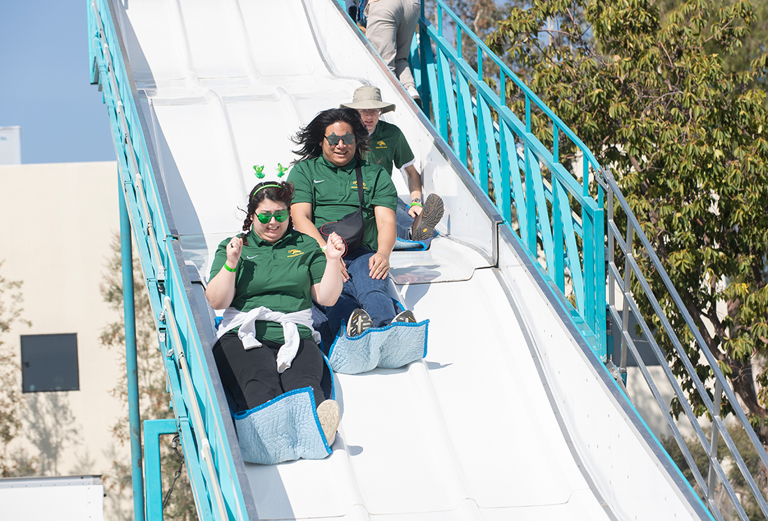 A group of staff members go down a slide