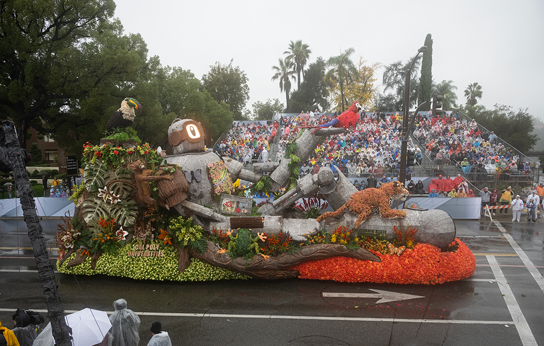 Side view Lunchbox the Robot and a colorful toucan, Macaw and Jaguar.
