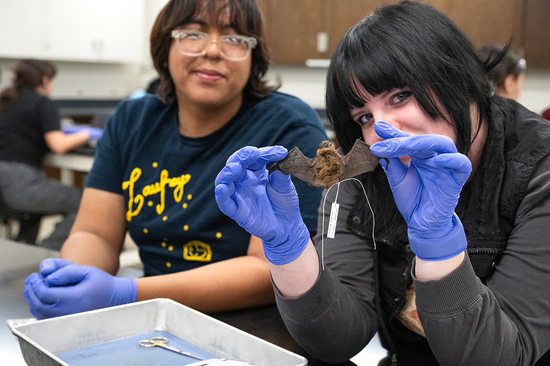 Two female students holding up a bat during Bat Club. 