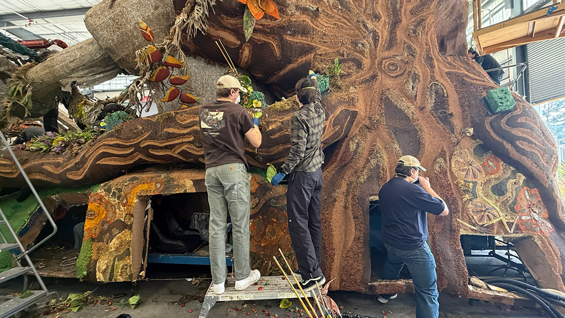 Two male students work on dismantling the floats tree