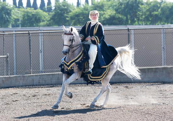 Sunday Horse Show