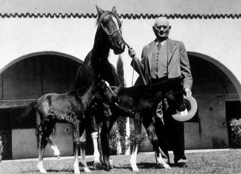 W.K. Kellogg with horses