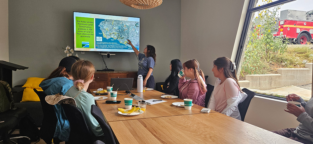 The cohort in a room watching a presentation.
