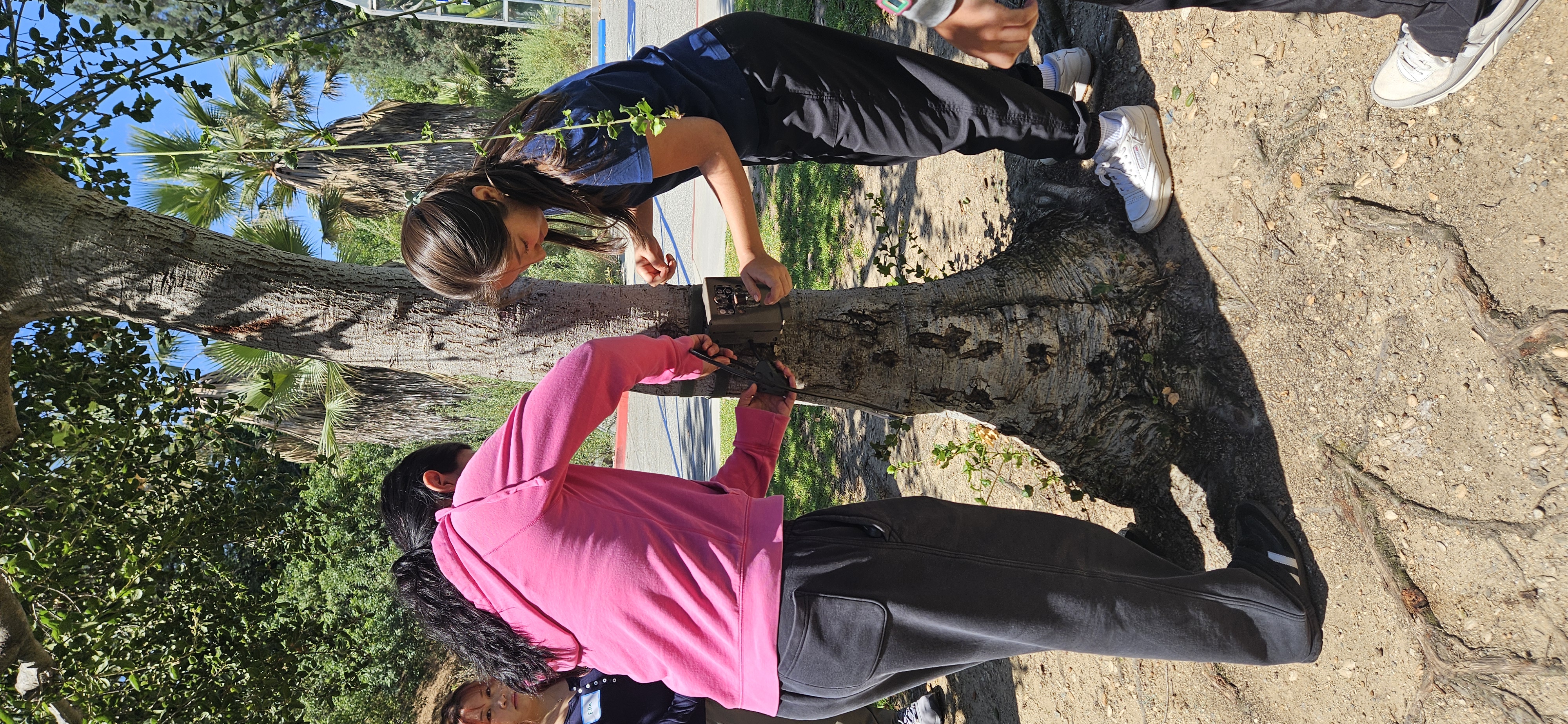 Two female students work with equipment around a tree.