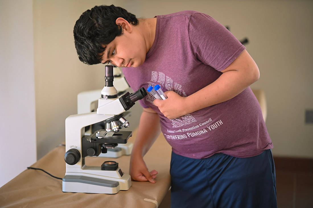 elementary school aged boy looks through a microscope. 