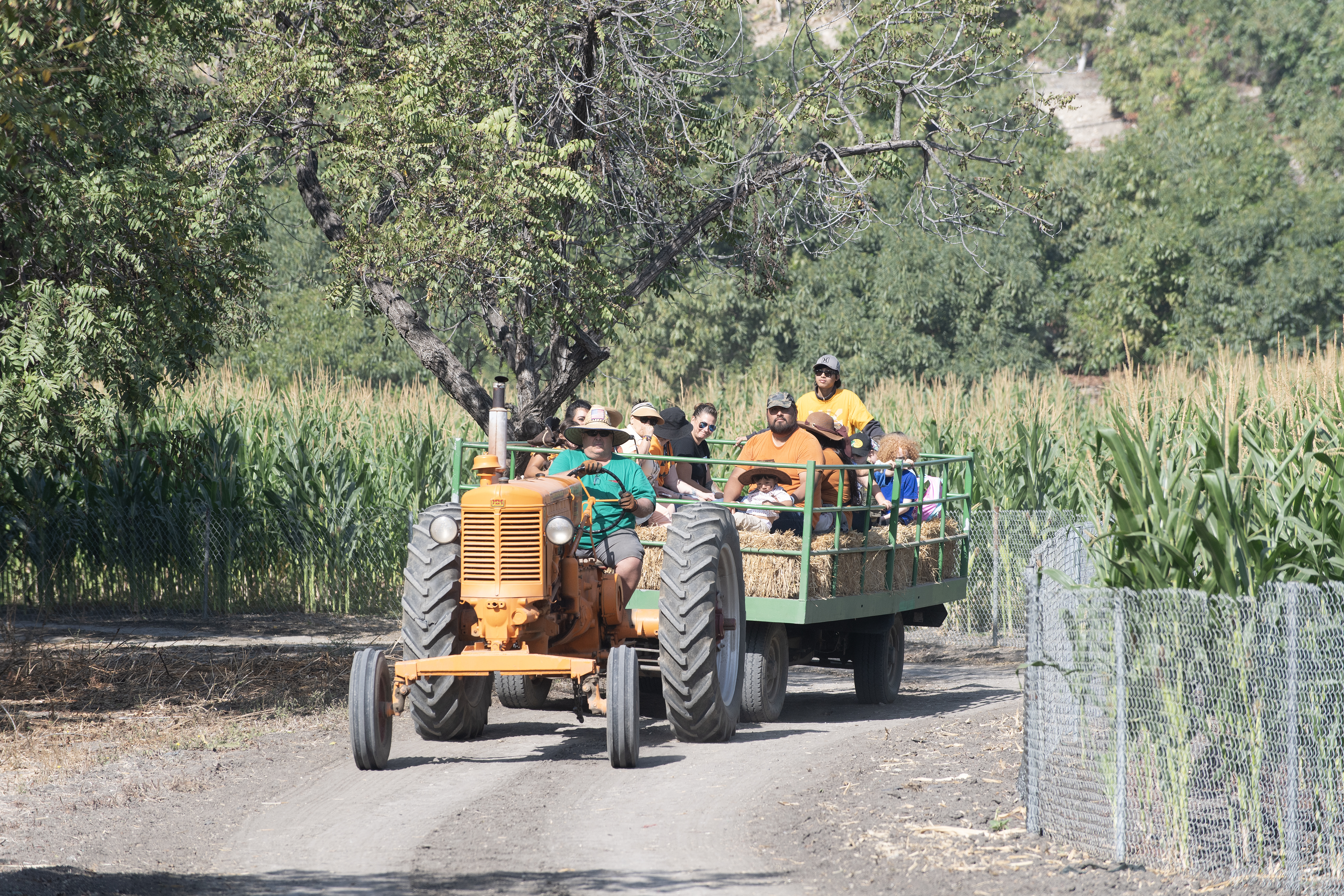PumpkinFest attendees go on a Hay Ride. 
