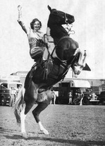 Audrey Deardorff, a successful horse breeder and owner, left her horse ranch in Norco to Cal Poly Pomona.