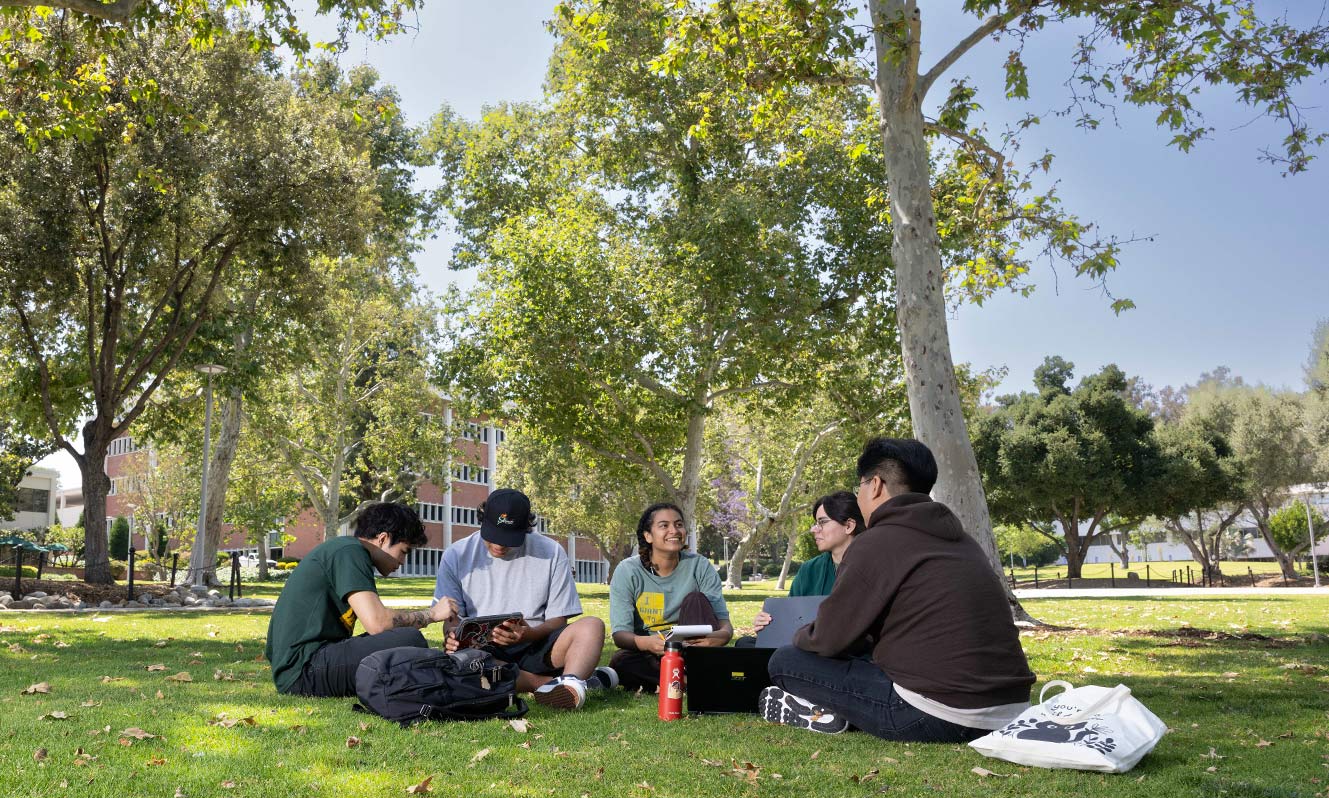 students in the quad