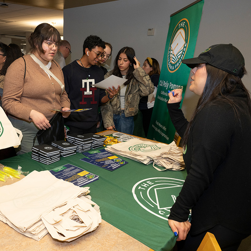 Families tour campus in a group