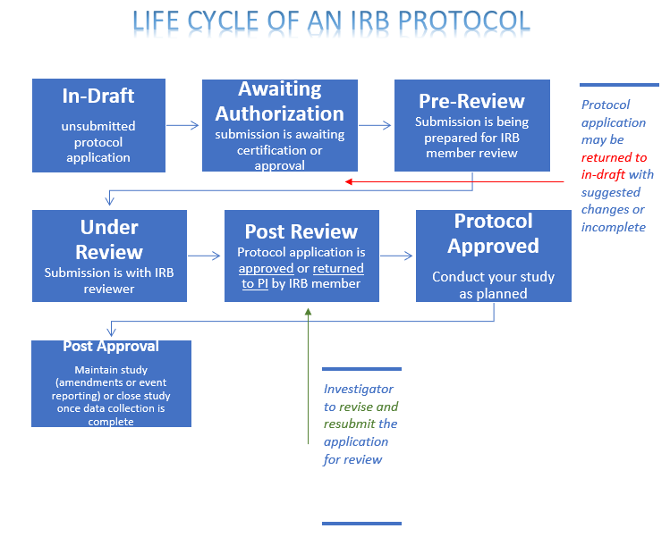 Life Cycle of an IRB Protocol