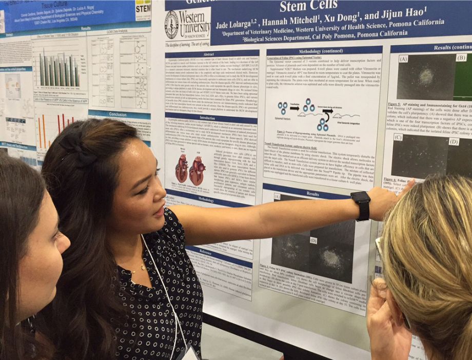 A student presenting her research.