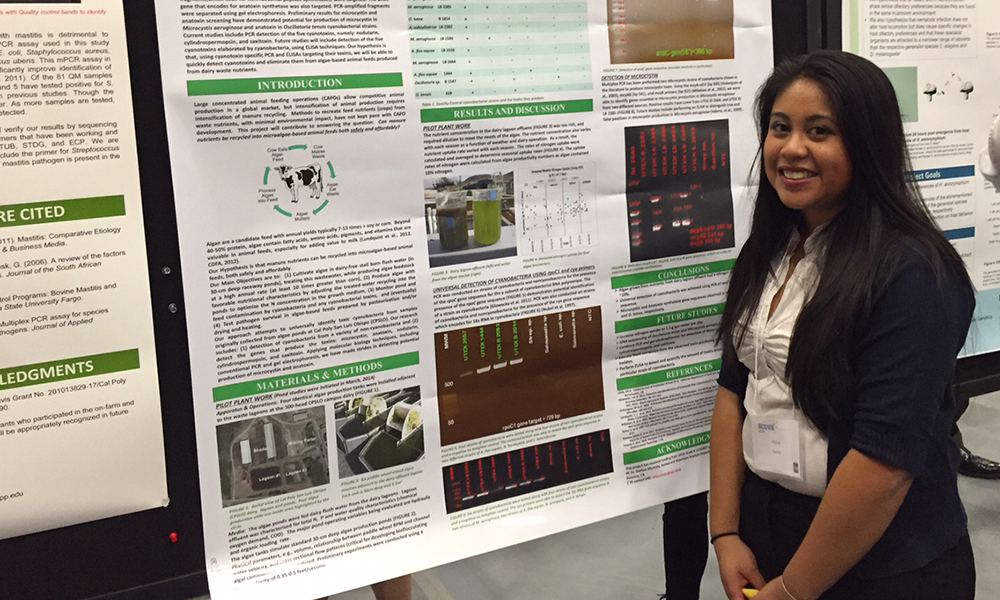 Student standing to the right side of poster presentation at conference